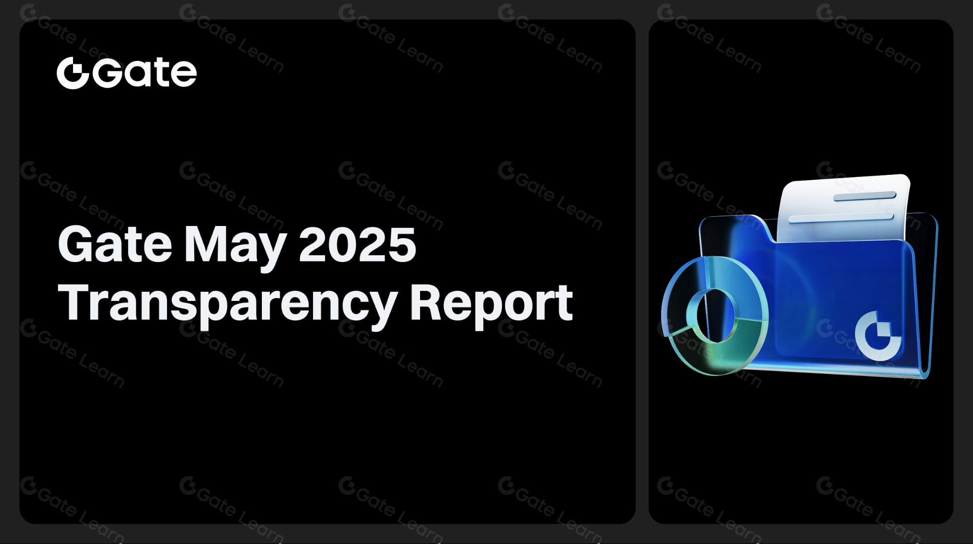 Gate May 2025 Transparency Report – Brand Upgrade Sparks Strategic Momentum
