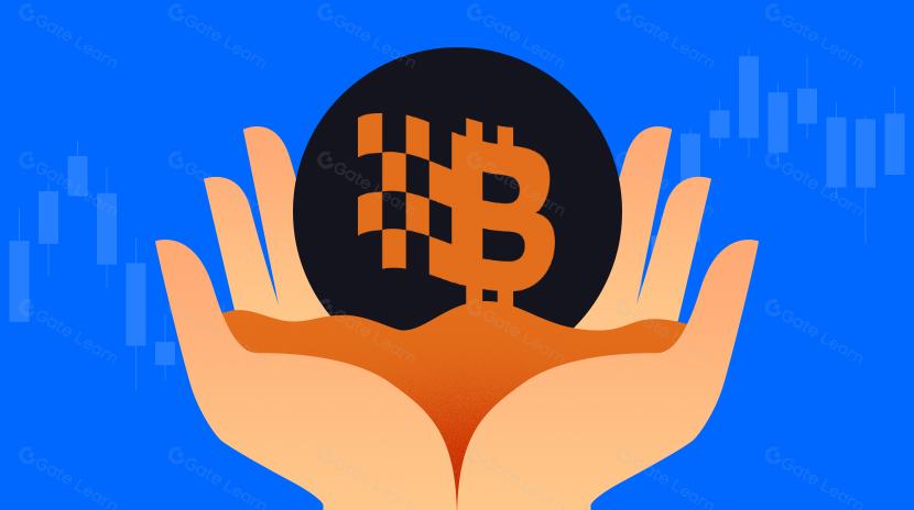 Ecossistema Bitlayer & Crescimento: O que você precisa saber