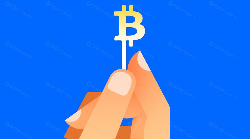 Satoshi, empresas e baleias: Quem detém mais Bitcoin?