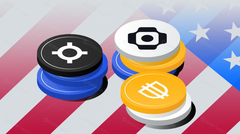 Surging Yields: A Review of U.S. Treasury "Tokenized" Fixed-Income Products, Operational Models, and Concerns