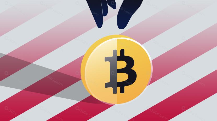 he Impact of the US Election on Bitcoin