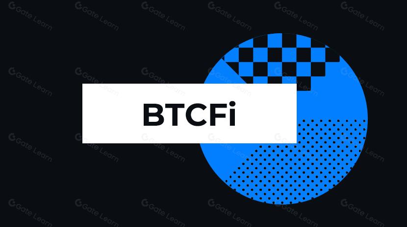 Analyzing BTCFi Through On-chain Data
