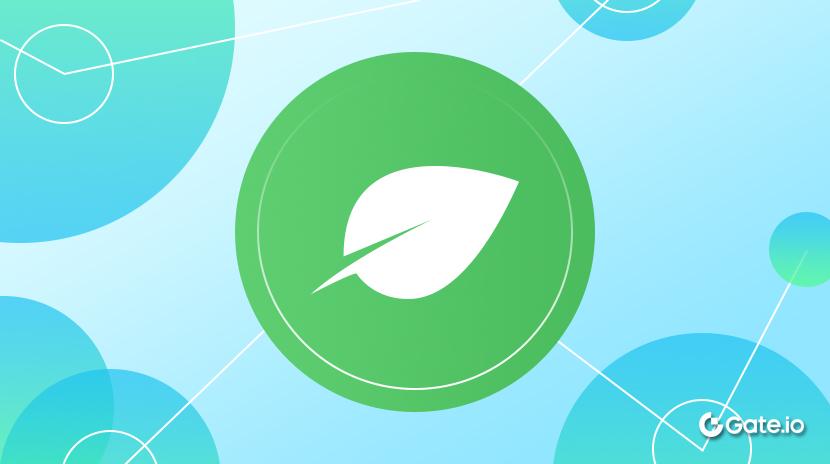 What is Chia? All You Need to Know About XCH