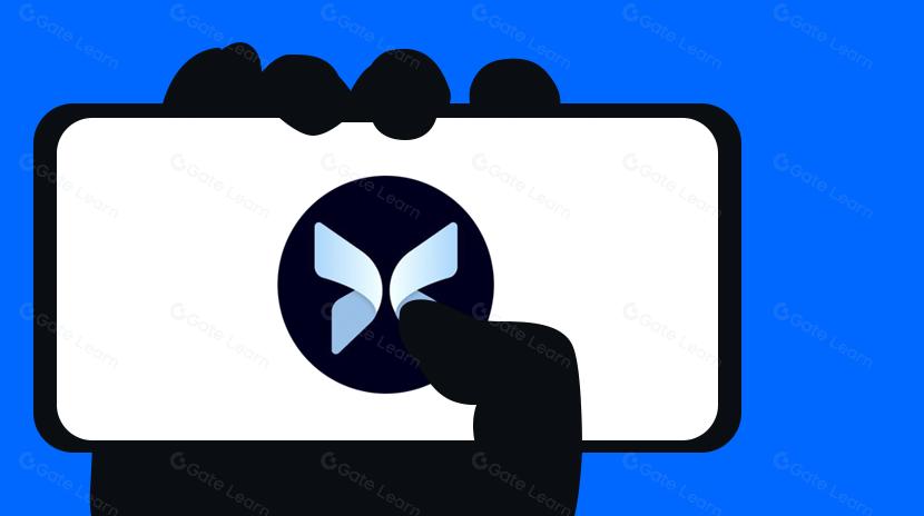 O que é o Protocolo Morpho?