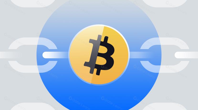 Les terribles inefficacités des blockchains monolithiques