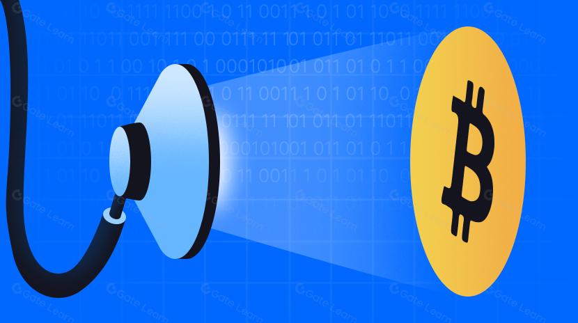 评估比特币的健康状况