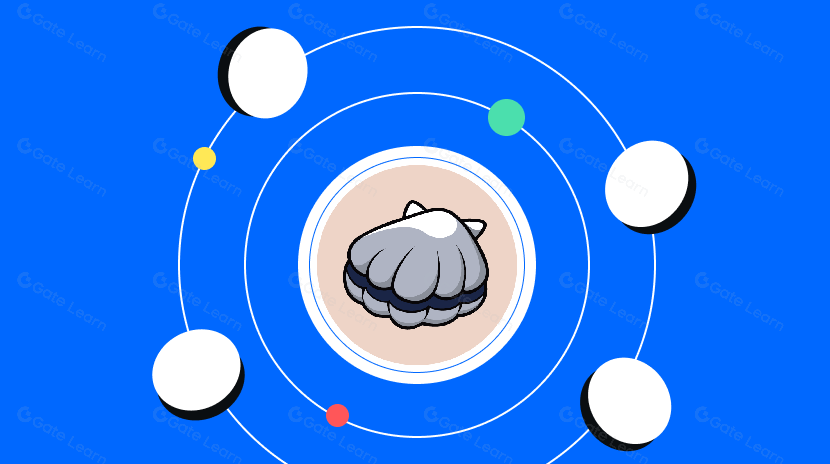 スカルロップ（SCA）について知っておくべきすべて