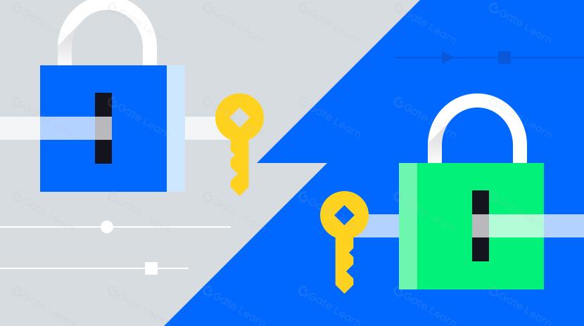 Unlocking the Holy Grail: Challenges and Solutions of Fully Homomorphic Encryption on Chain