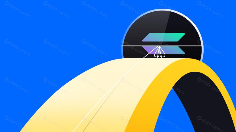 Telegram 公链 Ton 起势，是否会成为 Solana 挑战者？