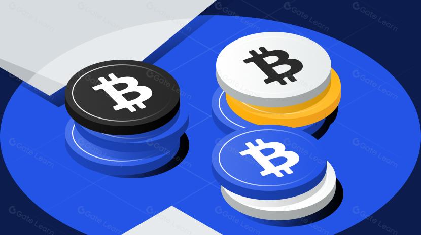 What are Colored coins? All You Need to Know About