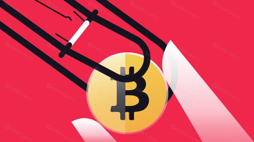 8 Ways to Check If It’s a Token Scam