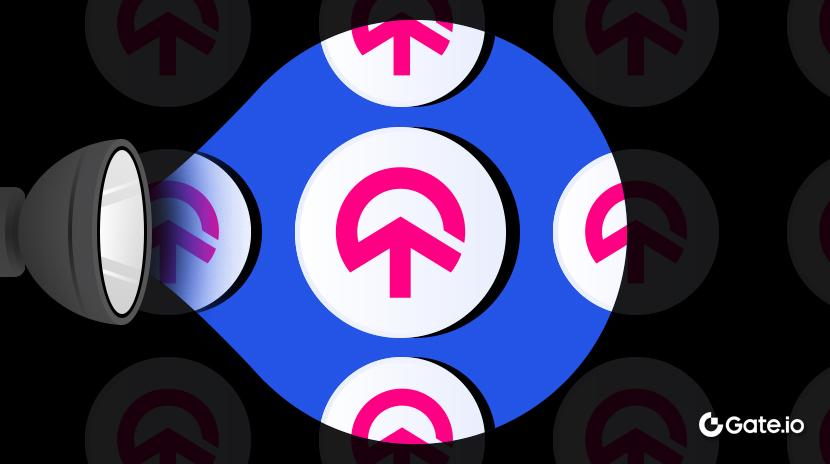 What is TomiNET and How Does it Work?