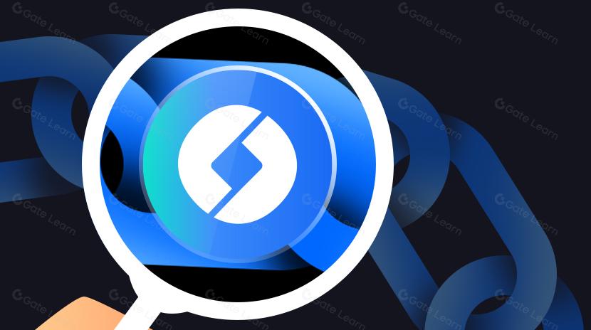 O que é a vieira?  Tudo o que precisa de saber sobre a SCLP