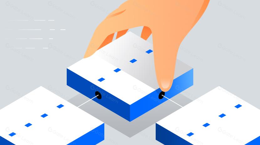 ما هي بلوكشين كانونيكال بلوك؟