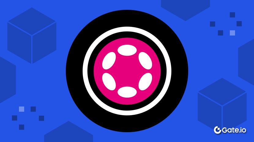 What are Parachain Auctions?