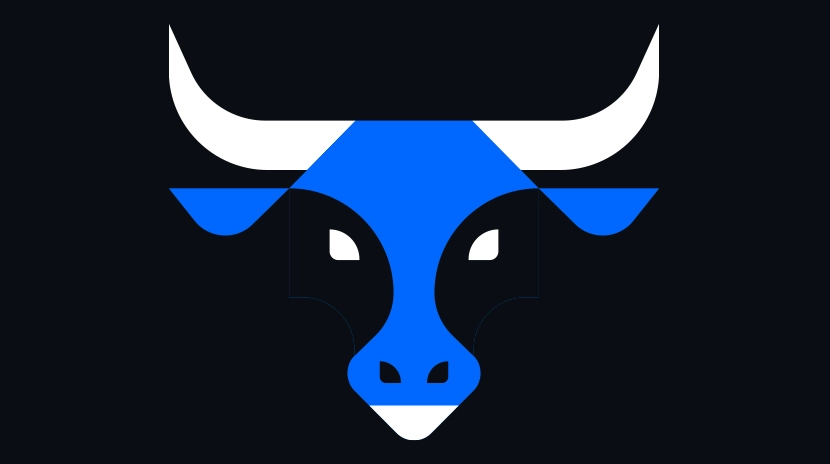 Perilaku Investor dalam Pasar Bull: Alokasi Cryptocurrency dan Analisis Trend