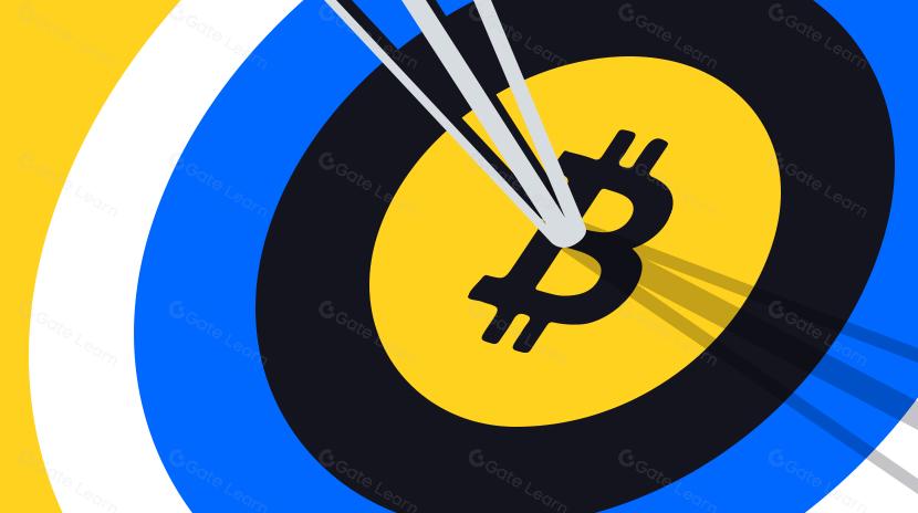 Общие сведения о типах BTC Адрес