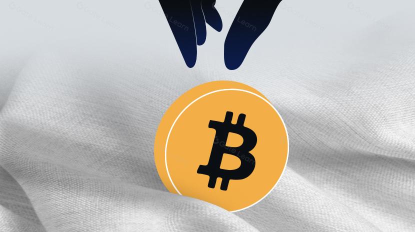 A Primer on Bitcoin L2s