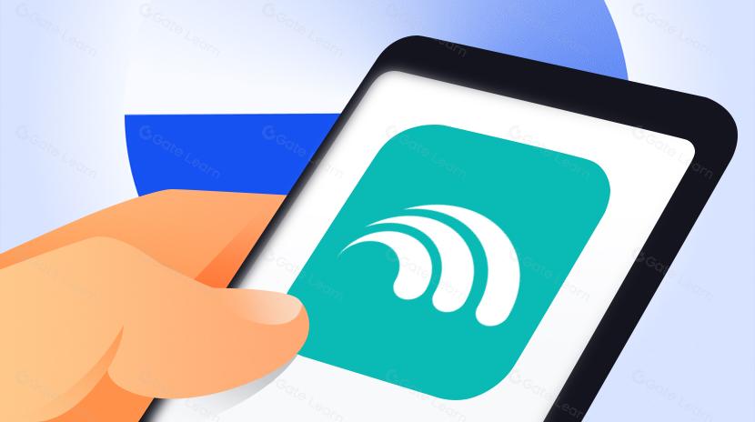 Will Surf Become Bitcoin's New "Liquidity Magnifying Glass"?