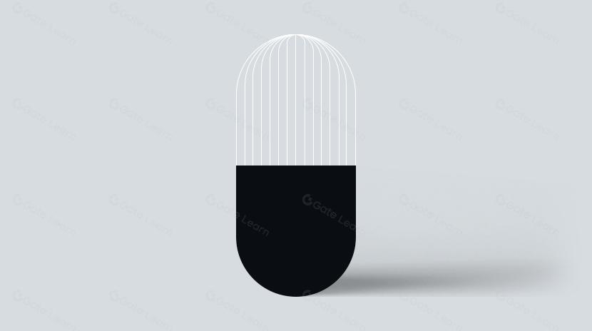 區塊鏈協議中的價值吸籌:交易費用、最大可提取價值(MEV)和代幣發行