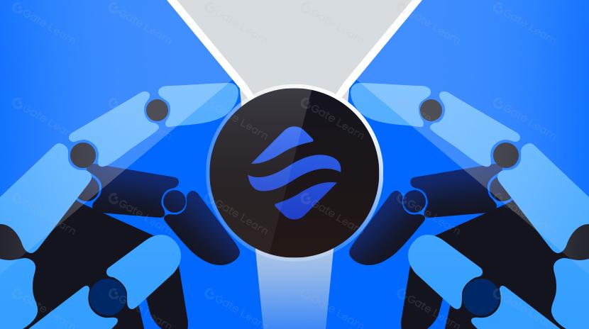 Qu'est-ce que Swell Network ?