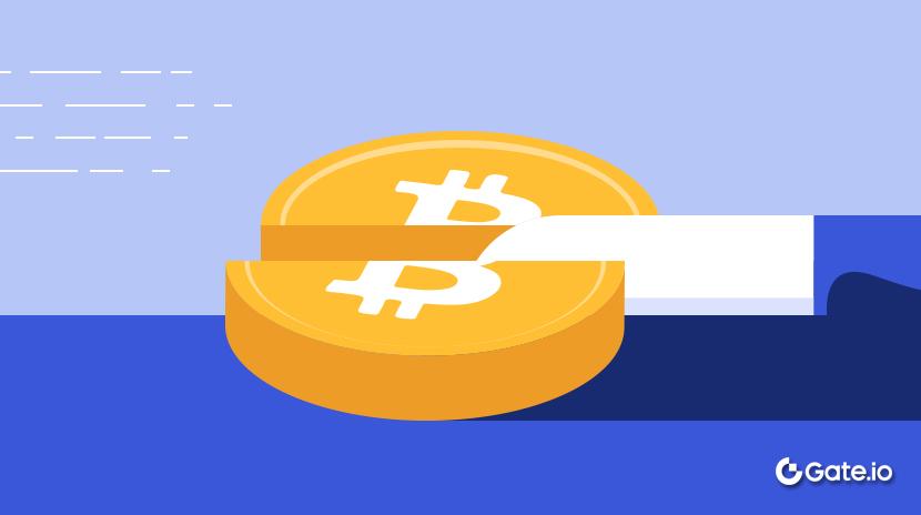 What Is Bitcoin Halving and Why Is It Important?