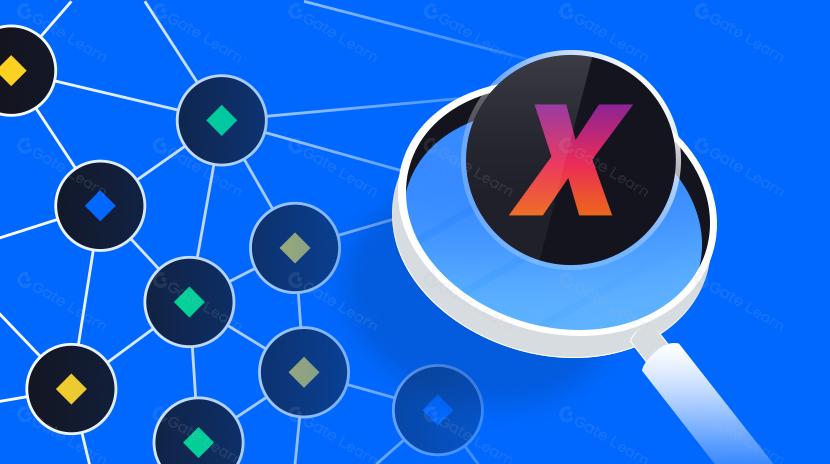 Комплексный обзор сети XCAD