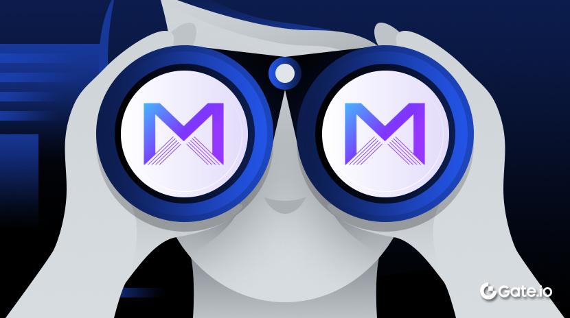 什么是 MARBLEX？