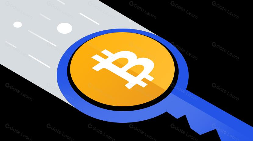 Điều gì đang kích thích Bitcoin? Ordinals, Atomicals, Taproot Assets – Ai nắm giữ chìa khóa vàng cho hệ sinh thái tương lai?