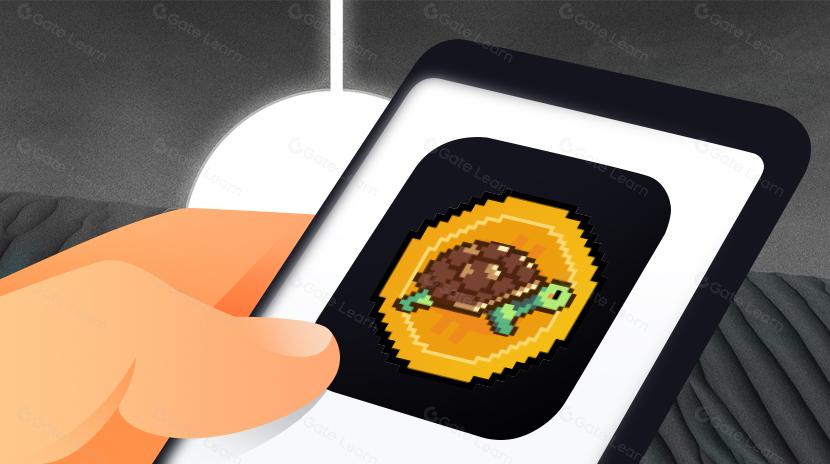 Turtsat 是什麽?關於 TURT 你需要了解的一切