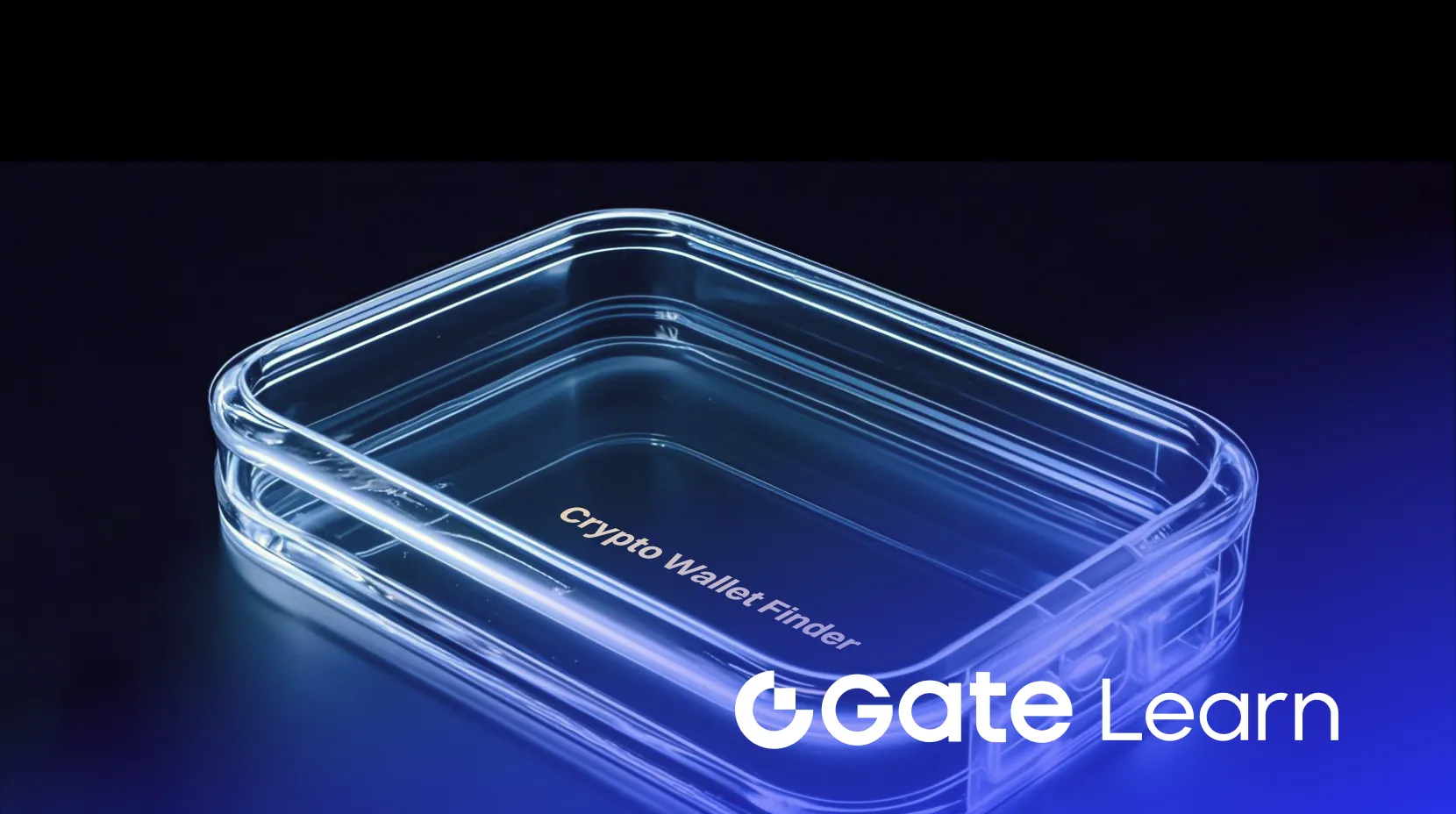 找出被你遗忘的加密钱包：Crypto Wallet Finder App 指南