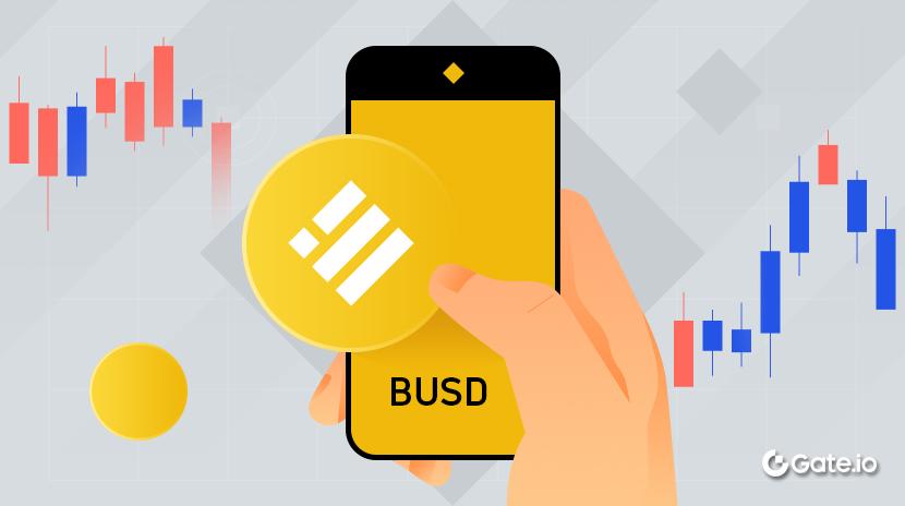What Is Binance USD? All You Need to Know About BUSD
