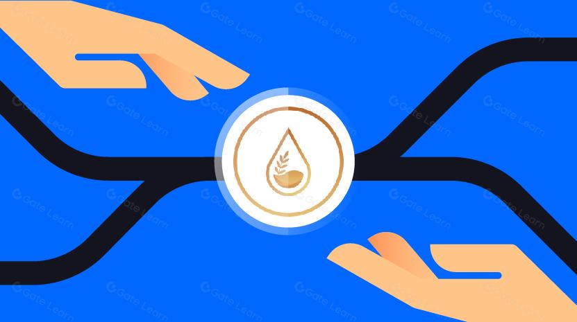 Giải thích chi tiết về ENKI, nền tảng LSD đầu tiên trên Metis