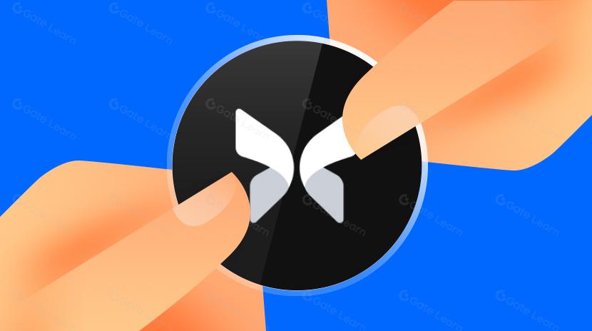 近期完成5000万美元融资的Morpho，能否成为DeFi借贷赛道新巨头？