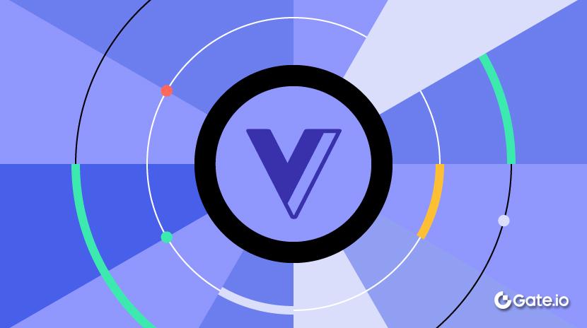 什么是 VGX (Voyager)？