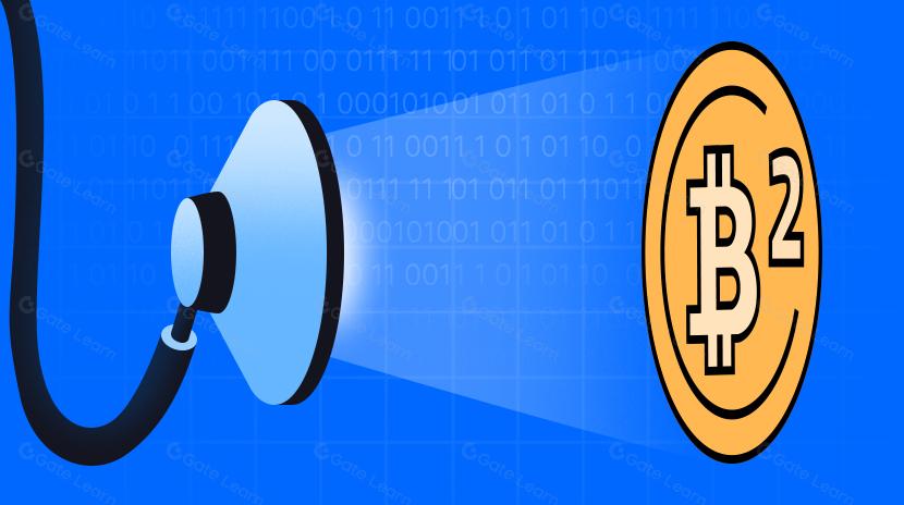 深入解读热门 BTC 二层 B² Network