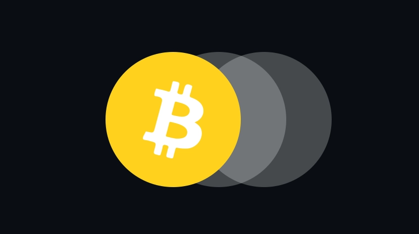 Distribuição de detentores de BTC