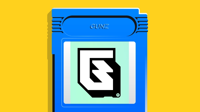 ما هو GUNZ؟