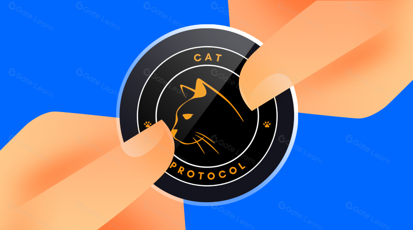 O que é o Protocolo CAT?