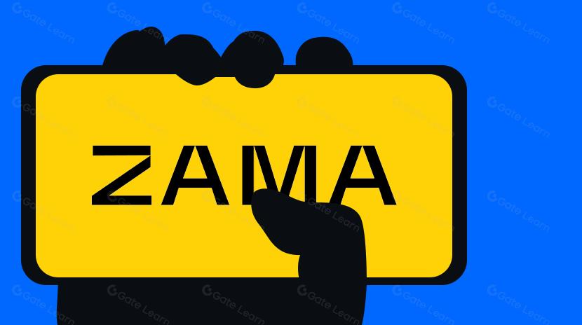 Zama.ai: Next-Generation Privacy Infrastructure