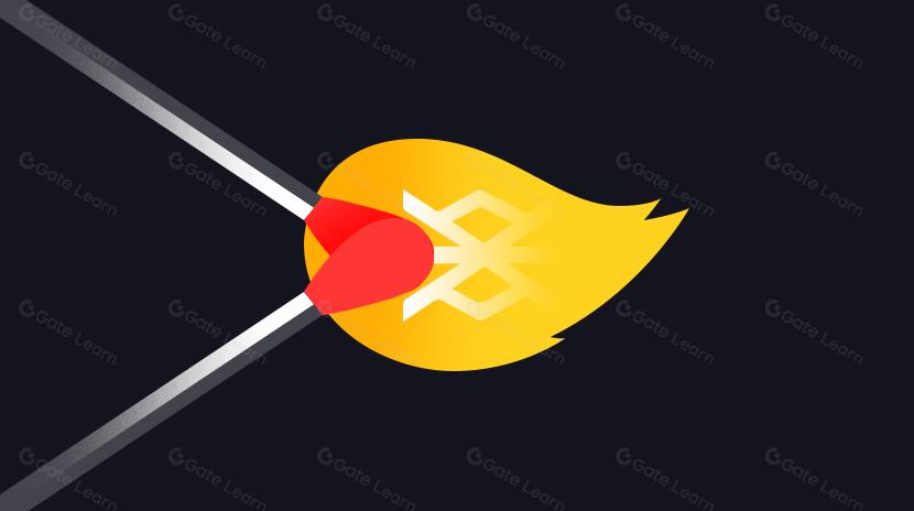 What are the controversies and hype behind Runes?