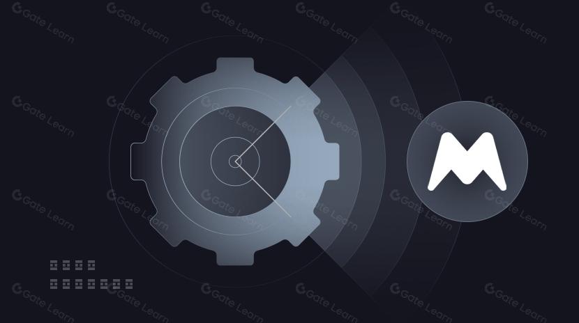 Tout ce que vous devez savoir sur Morpheus Network