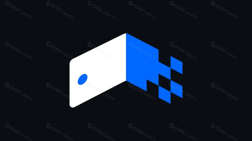 2024 年钱包状况