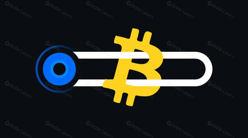 Apa itu Asuransi Kripto?