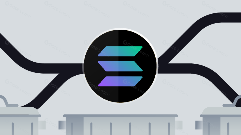 The Spam Transaction Paradox, Why Do Your Solana Transactions Always Fail?