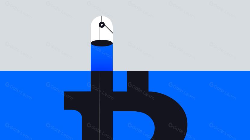 Understanding the new Bitcoin ecosystem