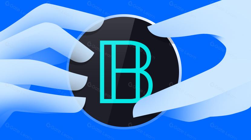 Deep Dive into the Operational Network of Large Language Models, BasedAI