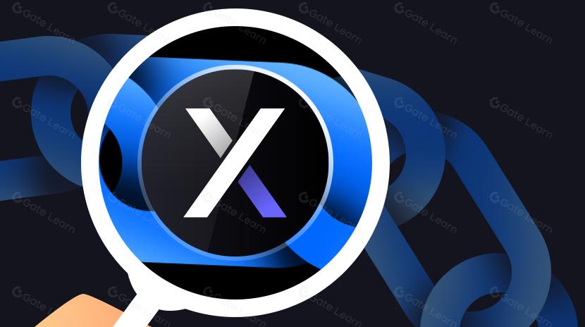 为什么 dYdX 选择推出自己的链而不是继续使用 Layer 2 解决方案?