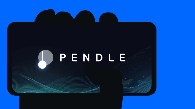 PENDLE - BEYOND THE POINT META
