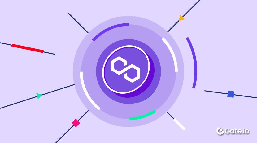 What Is Polygon? All You Need to Know About MATIC